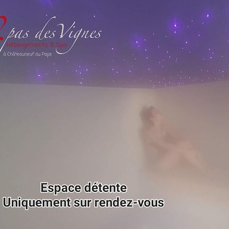 A 2 Pas Des Vignes, Hebergements Et Spa, Maison Numero 6, A Chateauneuf Du Pape Eksteriør bilde